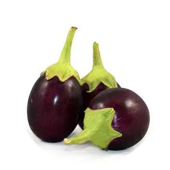 Brinjal (8)-7838749-65090.webp